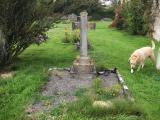 image of grave number 420530